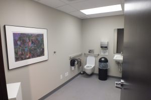 Une salle de bain avec une toilette, des barres d'appui, une poubelle, un lavabo et un miroir. Il y a un dessin cadré sur le mur.